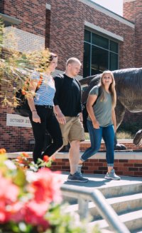 okbet online casino login